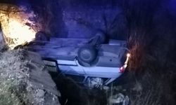 Köpeğe çarpmamak için direksiyonunu kırdığı otomobil kanala düştü: 1 yaralı