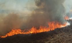 Beyşehir’de sazlıklar alev alev yandı