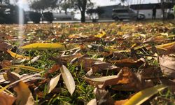 Dökülen yaprakla kartpostallık görüntüler oluşturdu