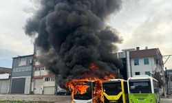 Park halindeki otobüsler cayır cayır yandı