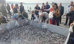 Zonguldak'ın Ereğli ilçesinde 16. Hamsi Festivali yoğun ilgi gördü