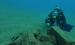 Profesör deniz dibinde taşlardan balıklara yuva yaptı