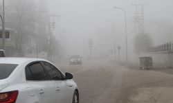Malazgirt’te sis etkili oldu