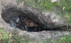 Prof. Dr. Şahin uyardı: "Eğirdir Gölü'nün hızla çekilmesi ilçeyi felakete sürüklüyor"