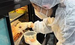 Devrek’te gıda denetimlerinde 2 işletmeye cezai işlem