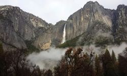 ABD'de oturum izni olmayanlar, parklara fazla para ödeyerek girecek