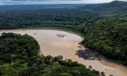 Amazon alarmda! Soya yasağının kaldırılması felaket getirebilir