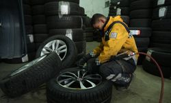 Muş'ta köpeklerin saldırdığı tavuk oto lastikçiye sığındı