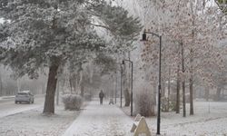 Erzurum güne sis ve kırağı ile uyandı