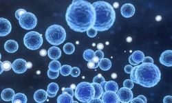 ABD'de listeria bakterisi salgını: 6 kişi öldü, 25 kişi hastaneye kaldırıldı