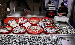 Trabzon’da hamsi bereketi: Tezgahlarda kilosu 75 lira