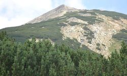 Arananlar listesindeydi! 12 yıl sonra öyle bir yerde bulundu ki...