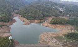 Yalova'nın 20 günlük içme suyu kaldı