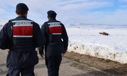 Sivas'ta 8 gündür kayıp olan yaşlı adamı arama çalışmaları sürüyor