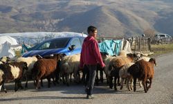 Kahraman öğretmenler devamsızlık yapan öğrenciler için köy köy geziyor