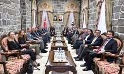 AB Türkiye Delegasyonu Maslahatgüzarı Vilcinskas, Diyarbakır'da ziyaretlerde bulundu