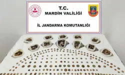 Mardin'de 4 bin 897 sikke ele geçirildi