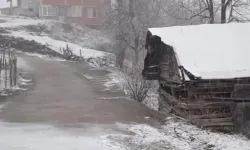 Ordu'nun ilçelerindeki yüksek kesimlere kar yağdı