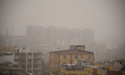 Şanlıurfa'da toz taşınımı etkili oluyor