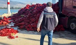 İzmir'de kaçak avlanan 27 ton midye ele geçirildi