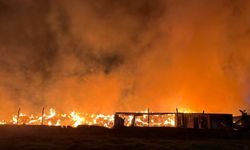 İzmir'de çöp depolama alanında yangın çıktı