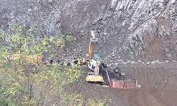 Ordu'da devrilen kamyonun sürücüsü hayatını kaybetti