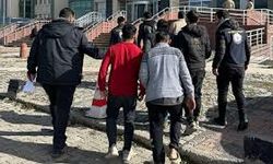 Edirne'de Somali, Mısır ve Suriye uyruklu 10 düzensiz göçmen yakalandı