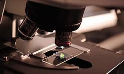 ABD’de kanser, kalp ve beyin hastalıklarını inceleyen 383 araştırma fonu kesintiye uğradı