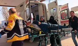 3 kişilik aile yedikleri tavuktan hastanelik oldu