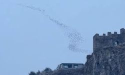 Ardahan'da kuşların gökyüzündeki dansı görüntülendi