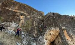 Diyarbakır'da kayalıklarda mahsur kalan 25 keçi kurtarıldı