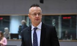 Macaristan Dışişleri Bakanı, Putin'le yapılan görüşmede enerji güvenliğini sağlama aldıklarını söyledi