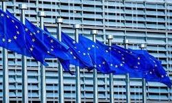 ABD, AB'nin dijital kurallarını eleştirdi