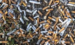 Berlin’de yere sigara izmariti atanlara 3 bin euro ceza verilecek