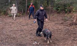Kastamonu'da kayıp anne ve oğlunu arama çalışmaları 5. gününde
