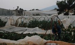 Mersin'deki hortumda 30 sera zarar gördü