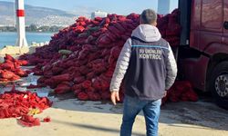 İzmir'de kaçak avlanan 27 ton midye ele geçirildi
