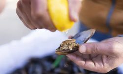 Ortaköy'de gıda zehirlenmesi! İki çocuğun ardından anne de öldü