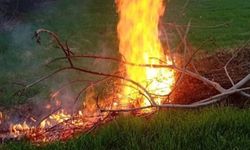 Milas’taki orman yangınları büyümeden söndürüldü