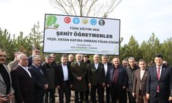 Türkiye Kamu-Sen’den “Şehit Öğretmenler Yeşil Vatan Hatıra Ormanı” projesi