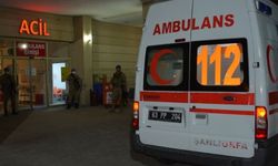 Şanlıurfa'da taşlı ve sopalı kavgada 2 kişi yaralandı