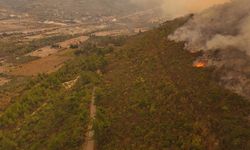 Suriye'nin Lazkiye kırsalındaki orman yangınına müdahale ediliyor