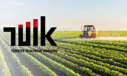 Tarımsal girdi fiyatları tırmanıyor: Yıllık artış %34,6'ya ulaştı
