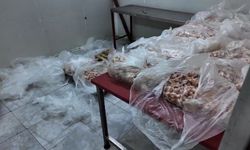 Antalya'da yaklaşık 25 ton bozuk tavuk ürünü ele geçirildi