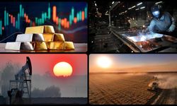 Emtia piyasaları, Fed yetkililerinin açıklamalarının etkisiyle dalgalandı