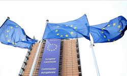 AB, üye ülkelerde demokrasiyi ve sivil toplumu güçlendirmeyi amaçlıyor