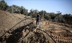 BM: İsrail saldırıları sonucu Gazze'de tarım altyapısının yüzde 89'u hasar gördü