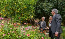 Diyarbakır’da deneme amaçlı dikilen narenciye ağaçları meyve verdi