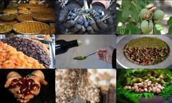 Türk ürünlerinin AB’de tescili 42’ye ulaştı