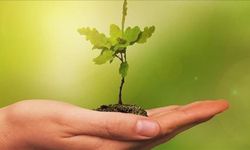 COP30’da küresel “yeşil sanayileşme” gündemi daha da güçlendi